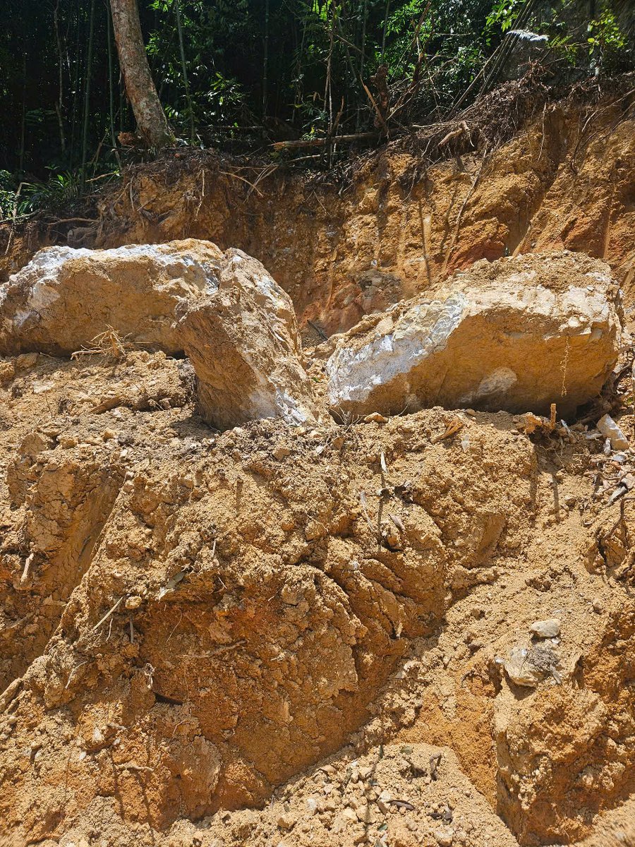 Laboratory quality control