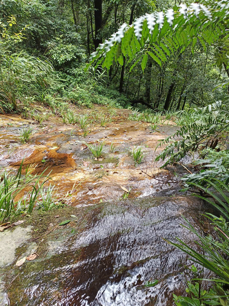 Borikhamxay Province landscape