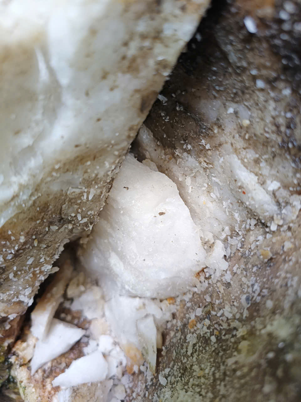 Raw quartz crystal specimen